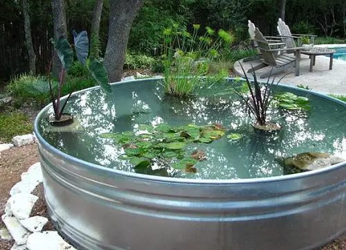 Stock Tank Garden Pond