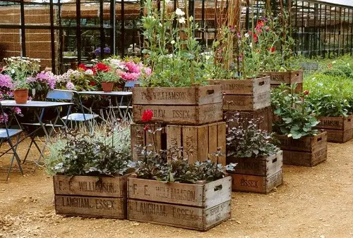 Use Fruit Crates as Planters