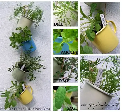 Hanging Herb Garden from Coffee/Tea Cups