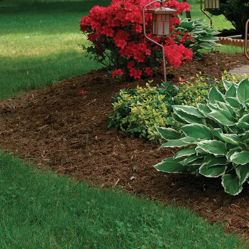 Apply Mulch