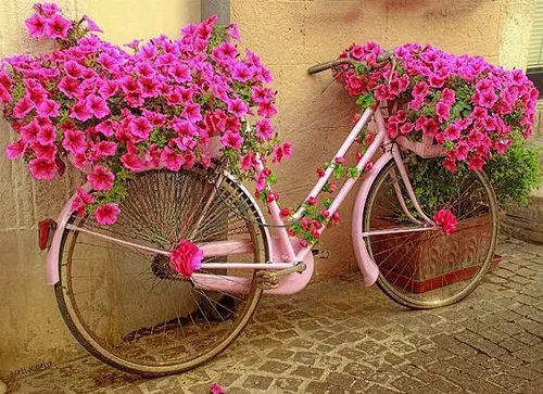 Great Bicycle Planter