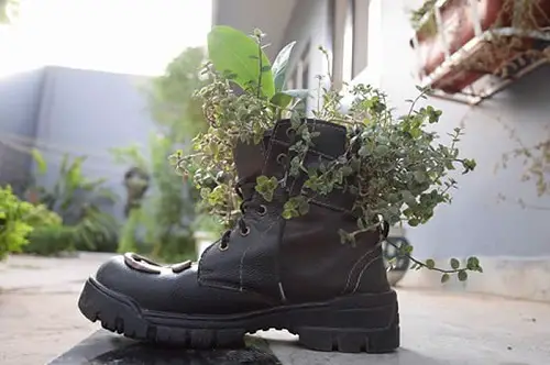 Shoe Planter