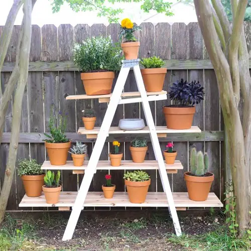 Stepladder as Planters Shelf