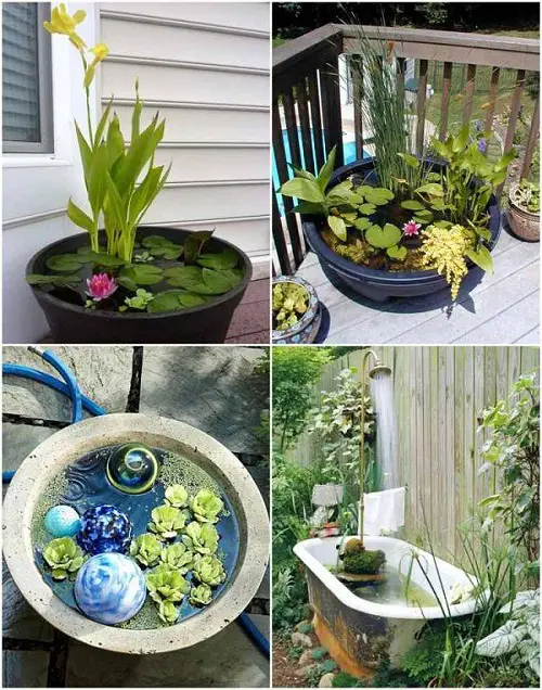 top Pond In a Pot