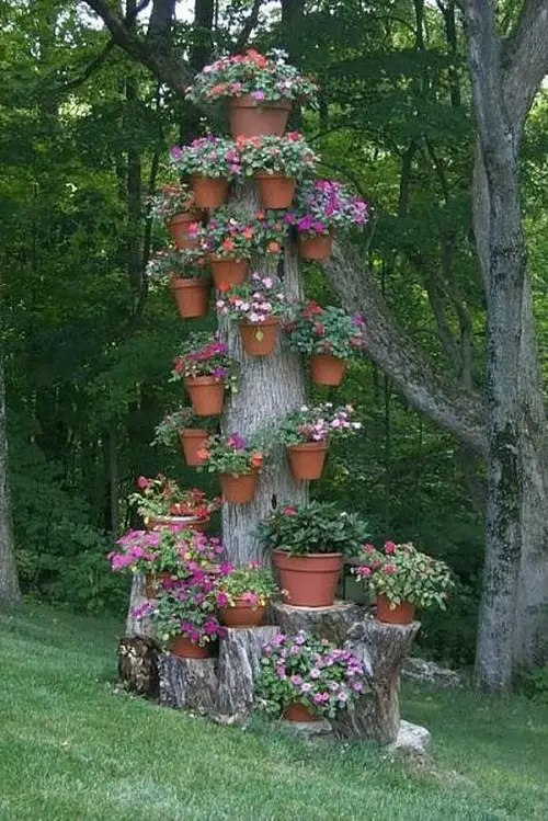 Tree Stumps As Planters