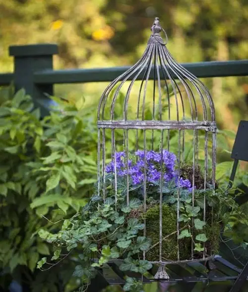 A Birdcage Planter