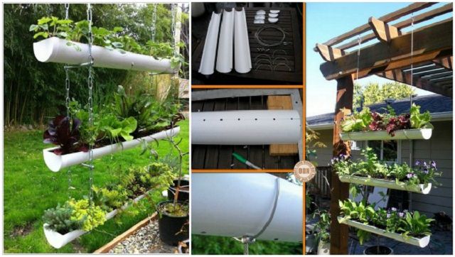 hanging gutter garden