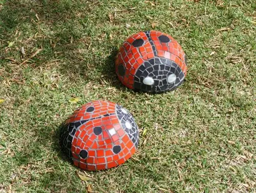 Creative Ladybug