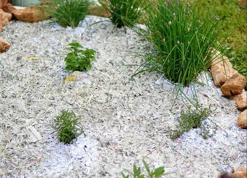 Junk Mail Leftovers That You Can Use in Your Garden