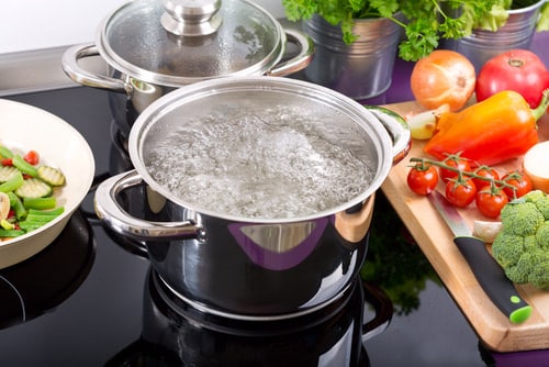 Best Snake Plant Fertilizers boiling water 