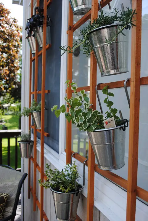 Vertical Gardening Ideas For Small Gardens 3