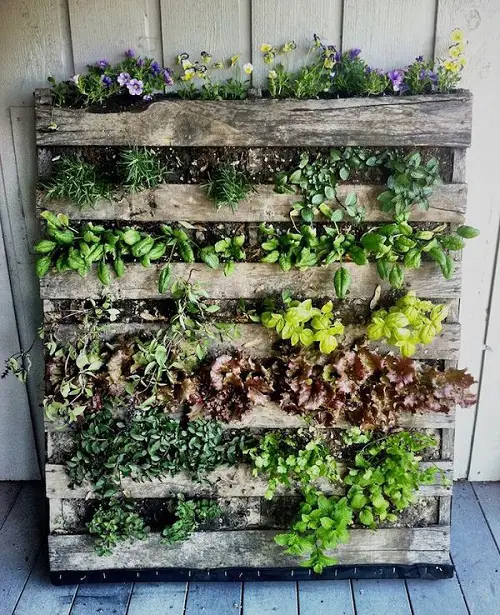 Vertical Gardening Ideas For Small Gardens 2