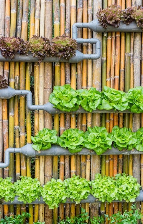 pvc pipe vertical garden