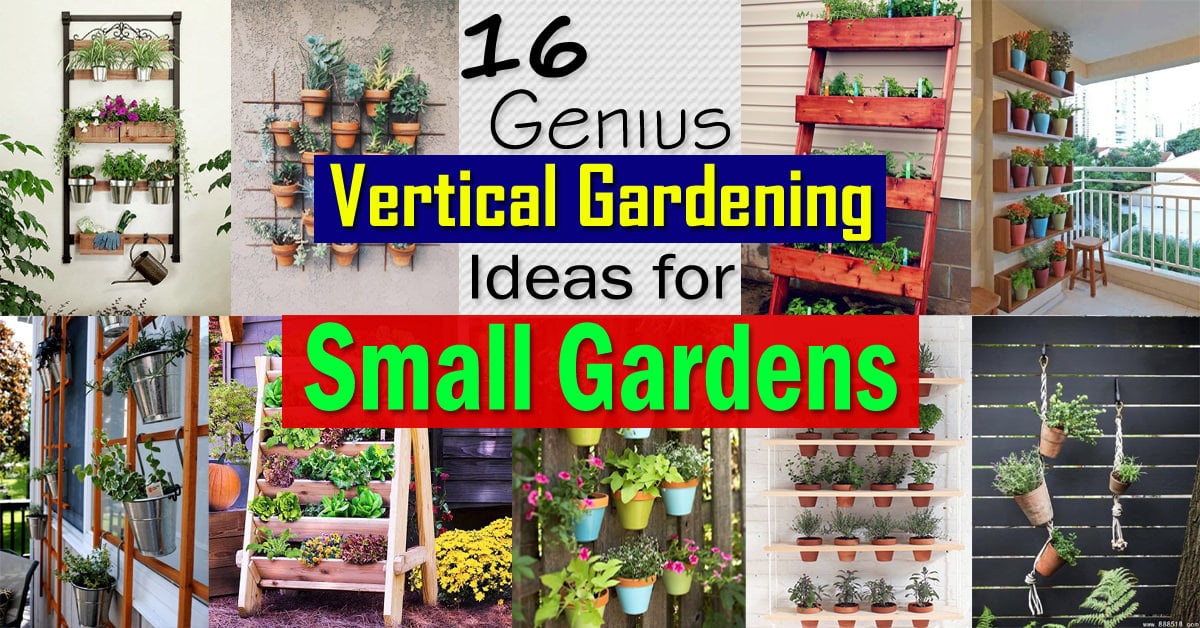 16 Genius Vertical Gardening Ideas For Small Gardens Balcony Garden Web