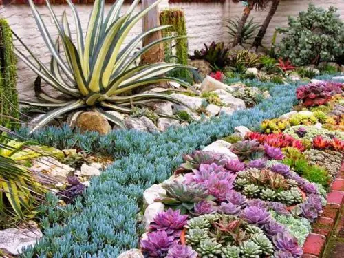 Plant Some of them on the Ground