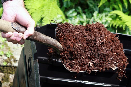 Money Saving Gardening Tips 