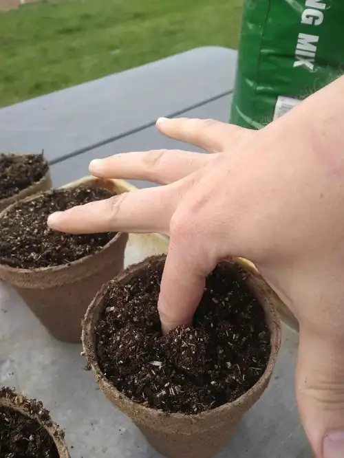 lovely Money Saving Gardening Tips