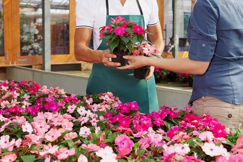 Amazing Money Saving Gardening Tips