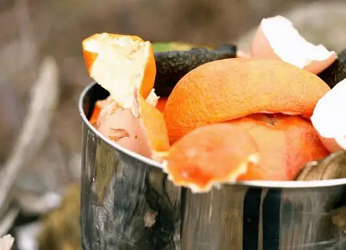 Utilize Fruit Peels for a Healthy Harvest