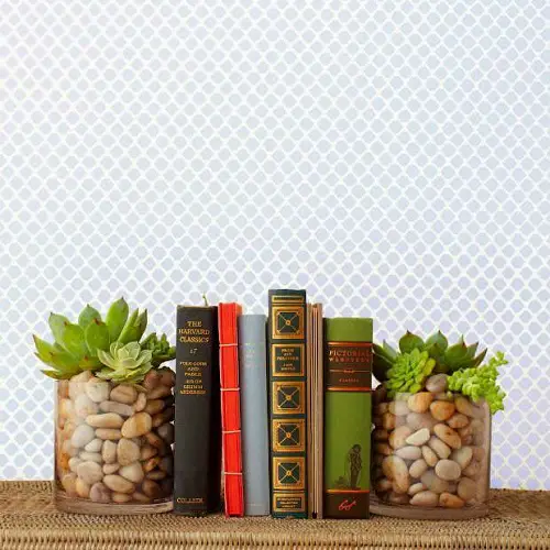Add a Succulent Bookend