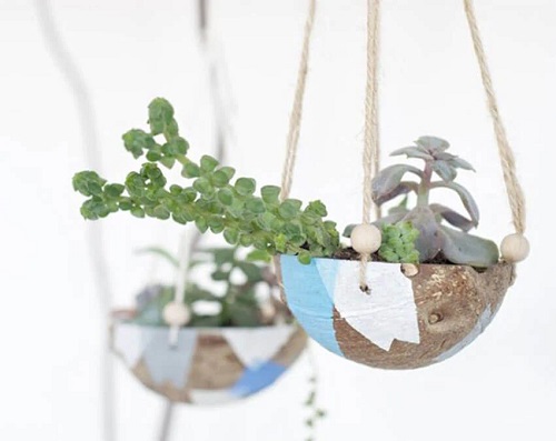 Indoor Garden Get a Hanging Coconut Planter