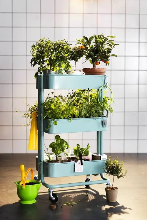 Indoor Garden Use Utility Cart to Hold Pots