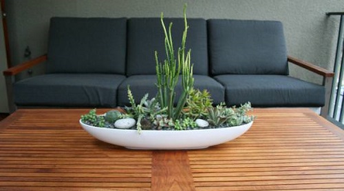 Indoor Garden Make a Succulent Dish Garden