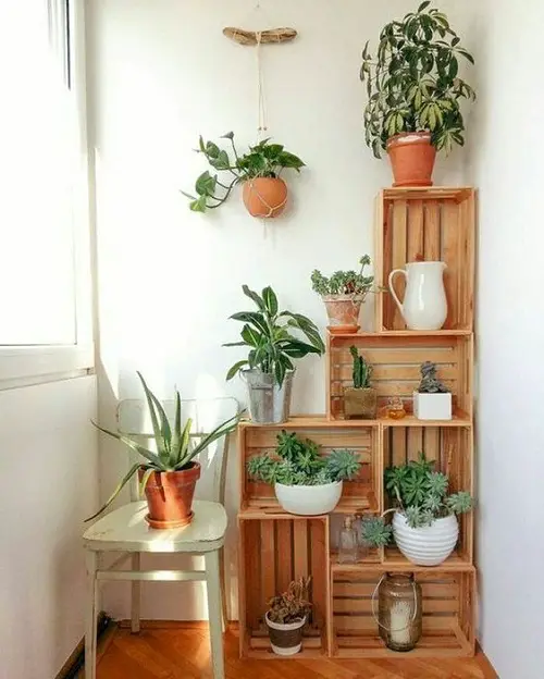 Be Creative Indoor Garden Decoration Ideas 5