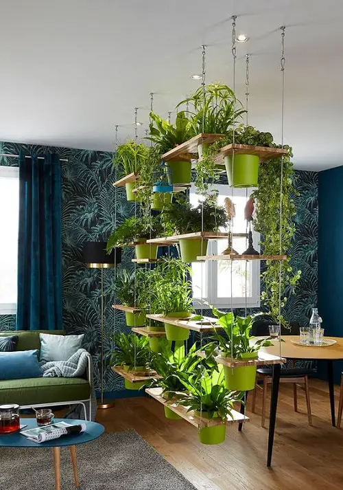Create a Hanging Indoor Garden