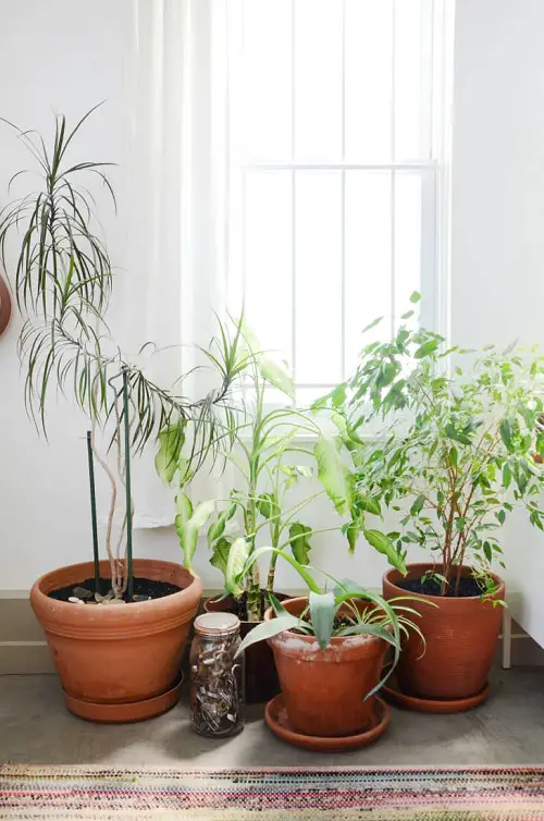 Best DIY Indoor Garden Decoration Ideas