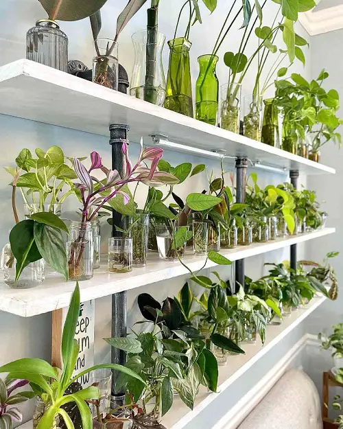 Indoor Garden Make a Propagation Station