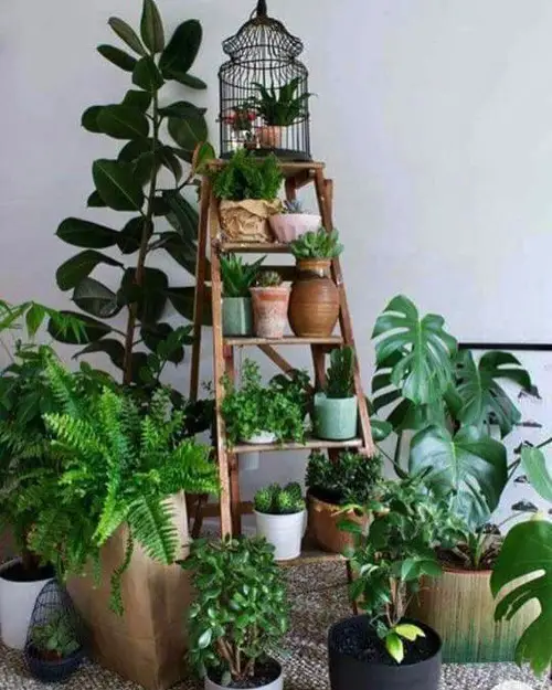 Indoor Garden Decoration Ideas Ladder Planter / Ladder Shelf