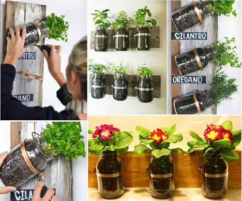 Indoor Garden Mason Jar Garden