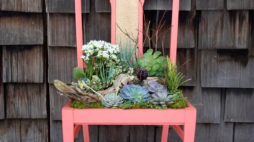 Indoor Chair Planter garden