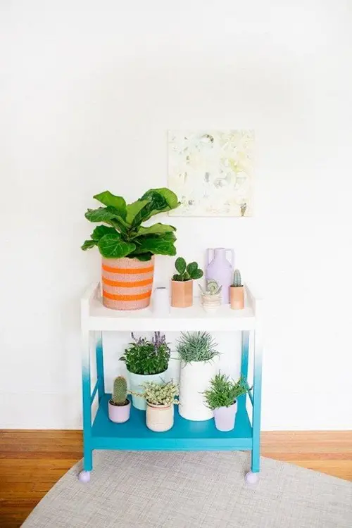 Indoor Garden Use Plant Stands