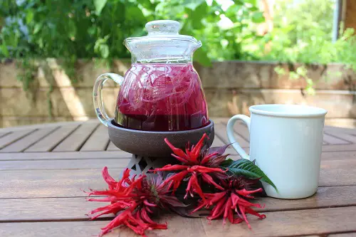 Great Edible Flowers To Improve Your Health