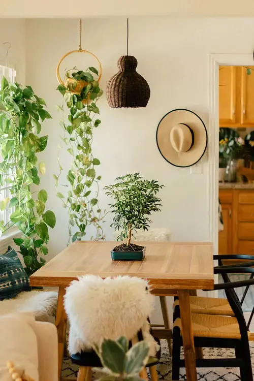 DIY Table Tophanging plant  Decoration 2