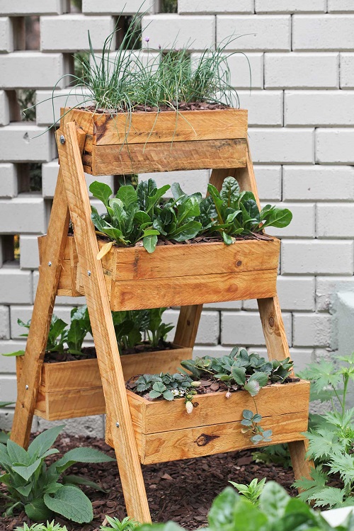 Create a Ladder Garden