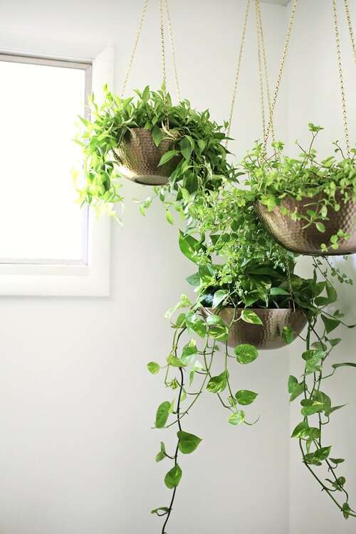 Hanging Planters Out of Metal Bowls