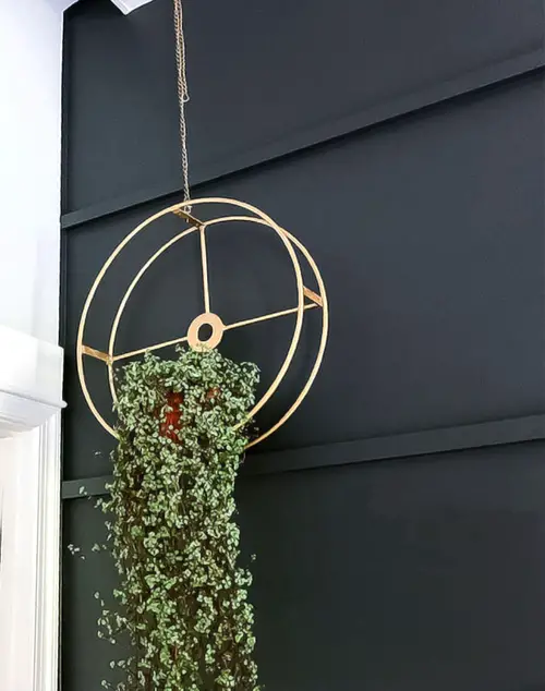 Wire Sphere for Hanging Plants