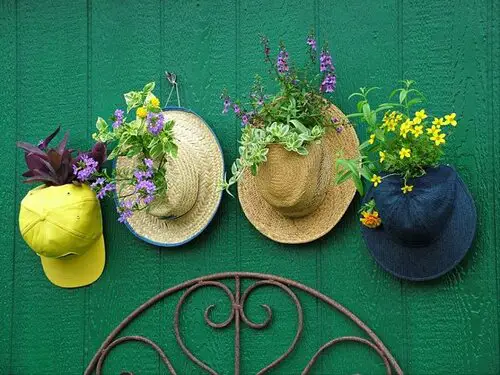 Hanging Hat Planter