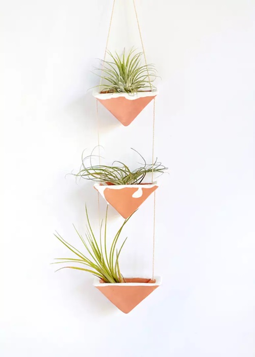 Hanging Air Plant Holder
