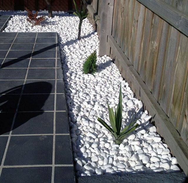 Everything You Need to Know About Using Pebbles in the Garden | Balcony