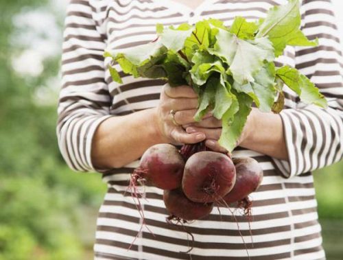 Beet Care in Containers