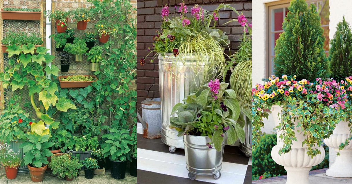 10 Creative and Trendy Container Garden Ideas You'll Love To Follow