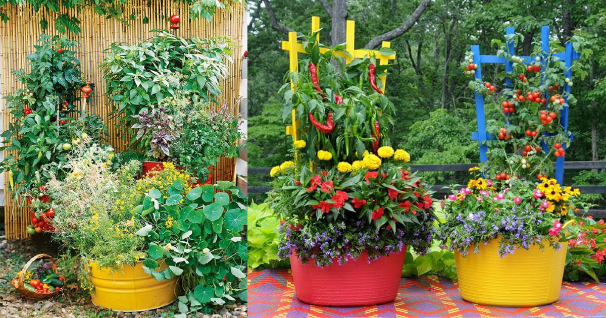 15 Stunning Container  Vegetable Garden  Design  Ideas Tips 