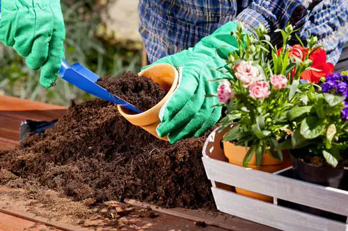 Avoid Using Garden Soil