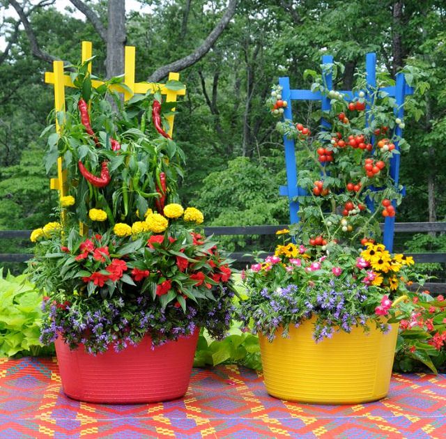  Woman watering a variety of colorful plants in containers on a balcony