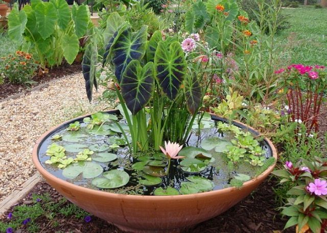 10 Creative and Trendy Container Garden Ideas You'll Love To Follow ...