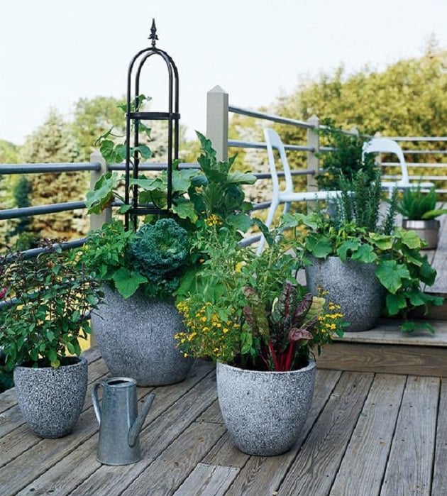  Fresh herbs and vegetables growing in pots on a balcony, container gardening tips